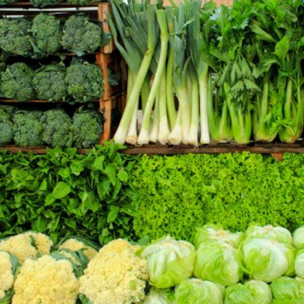 seleccion de verduras dieta y alimentacion